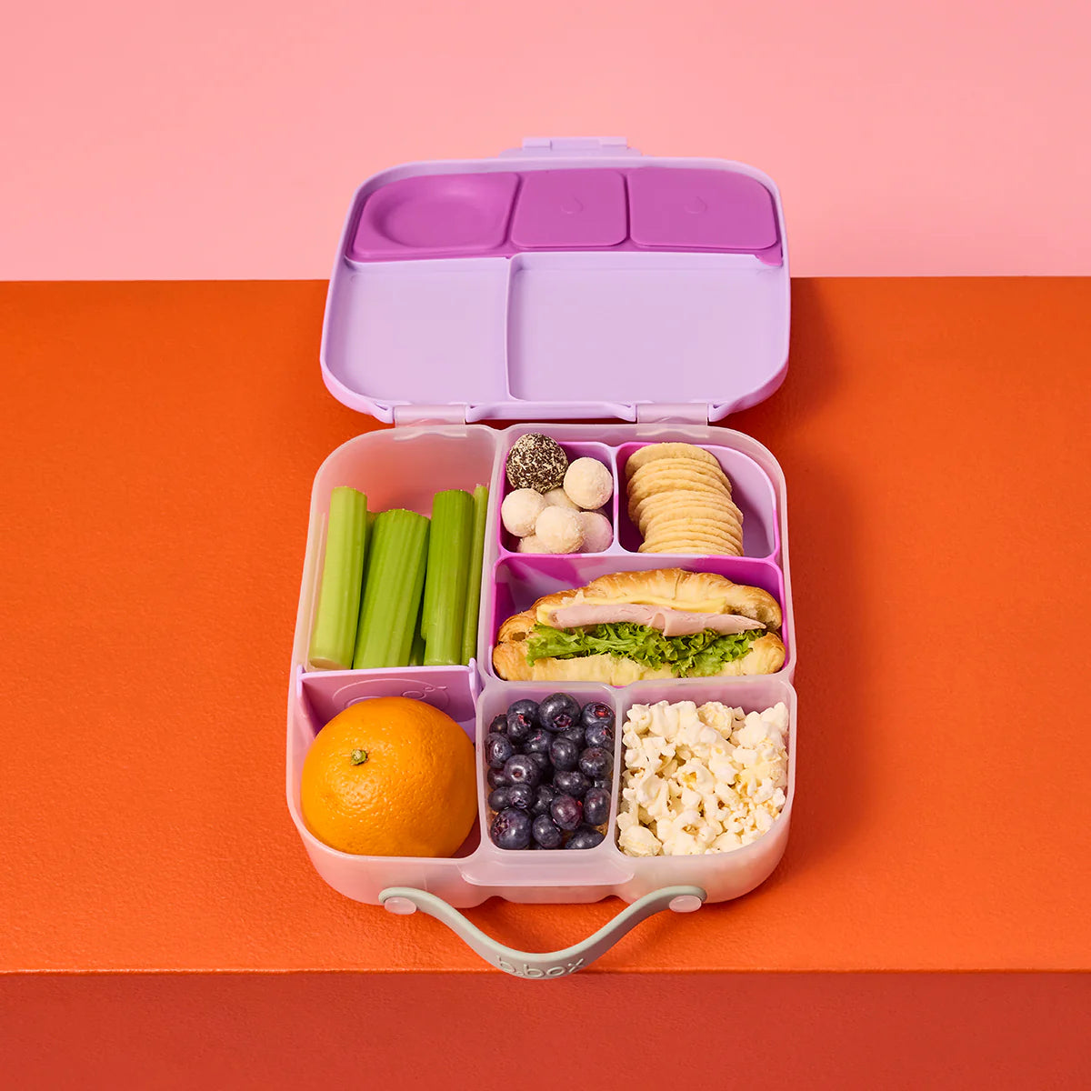 Silicone Bento Buddy | Lunchbox