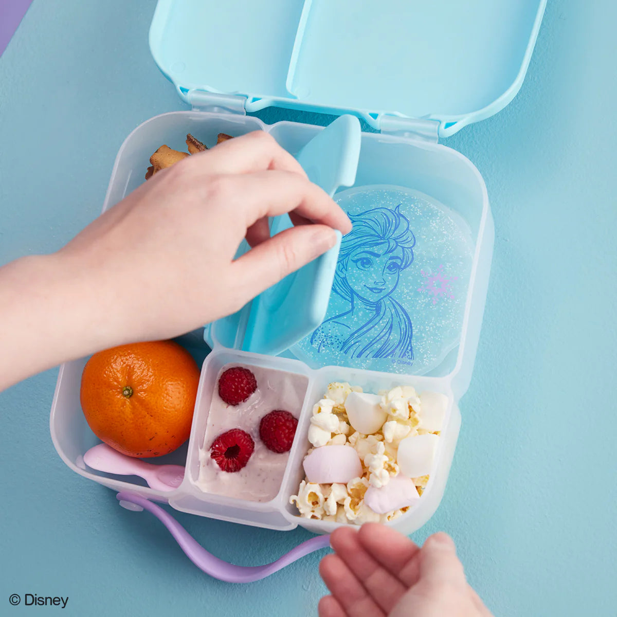 Lunchbox | Frozen
