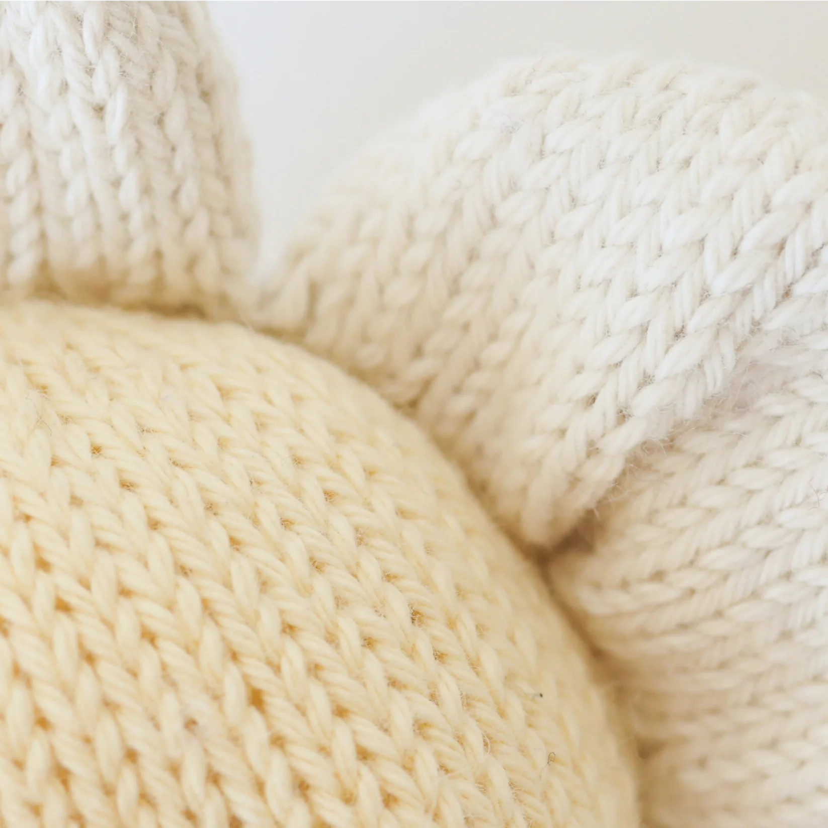 Baby Daisy (ivory) - Cuddle+Kind