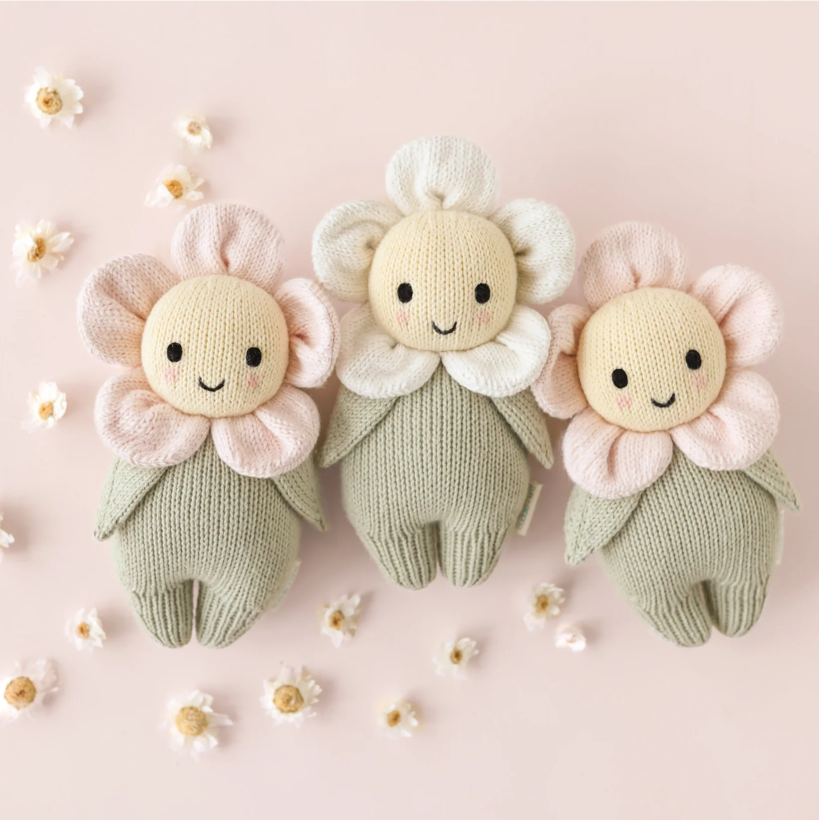 Baby Daisy (blush pink) - Cuddle+Kind