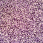 Lavender Fields Purple Rice Sensory Base - Honey Hollow