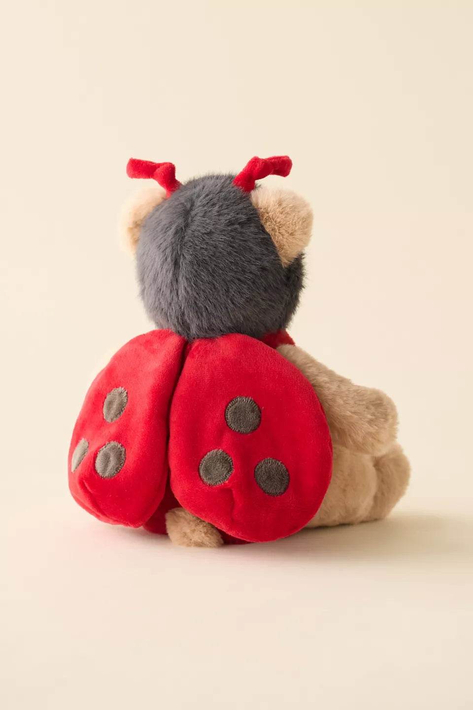Ladybug Costume Bear Soft Toy - Mon Ami