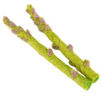 Asparagus (Set of 2) Felt Food - Tara Treasures