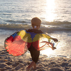 Painted Bunting Bird Wings & Mask Set - Dreamy Dress Ups