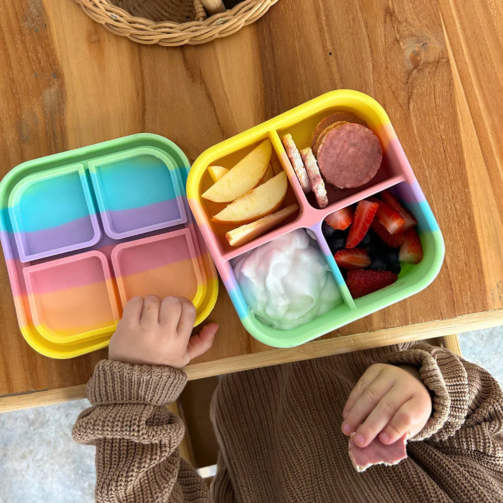 The Bento Snack | Silicone Snackbox