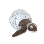 Wild Republic Green Sea Turtle removable hatchling plush toy inside crinkly egg