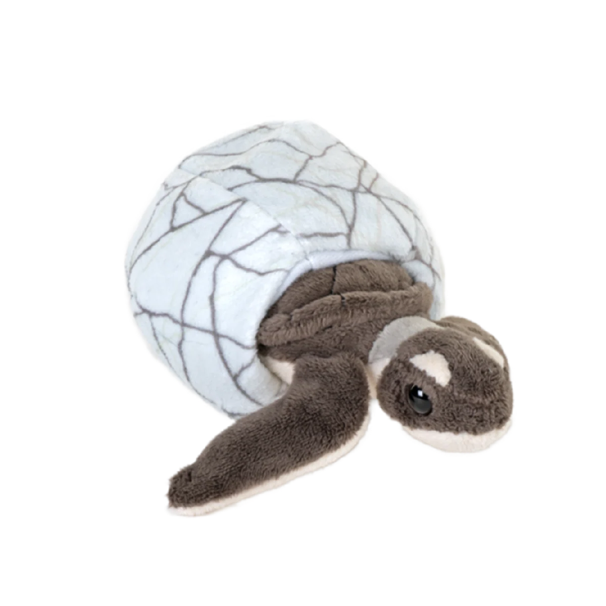 Wild Republic Green Sea Turtle removable hatchling plush toy inside crinkly egg