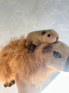 Capybara Mum & Baby Detachable Plush Duo - Wild Republic