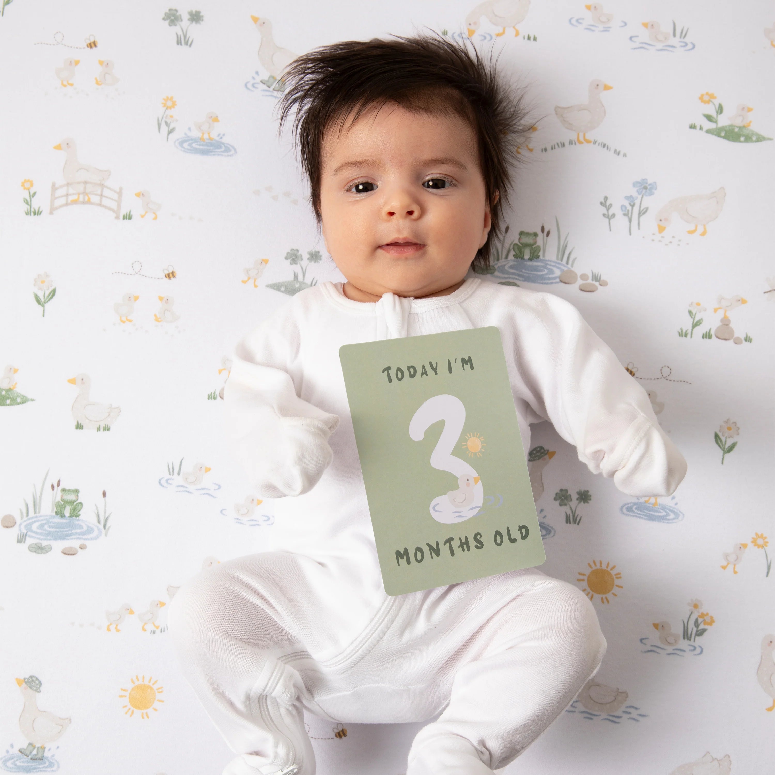 milestone cards by lively living to track babies age and milestones. great for photos and theme is goosey goosey. card pictured reads today i'm 3 months old