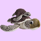 Green Sea Turtle Mum & Baby Detachable Plush Duo - Wild Republic