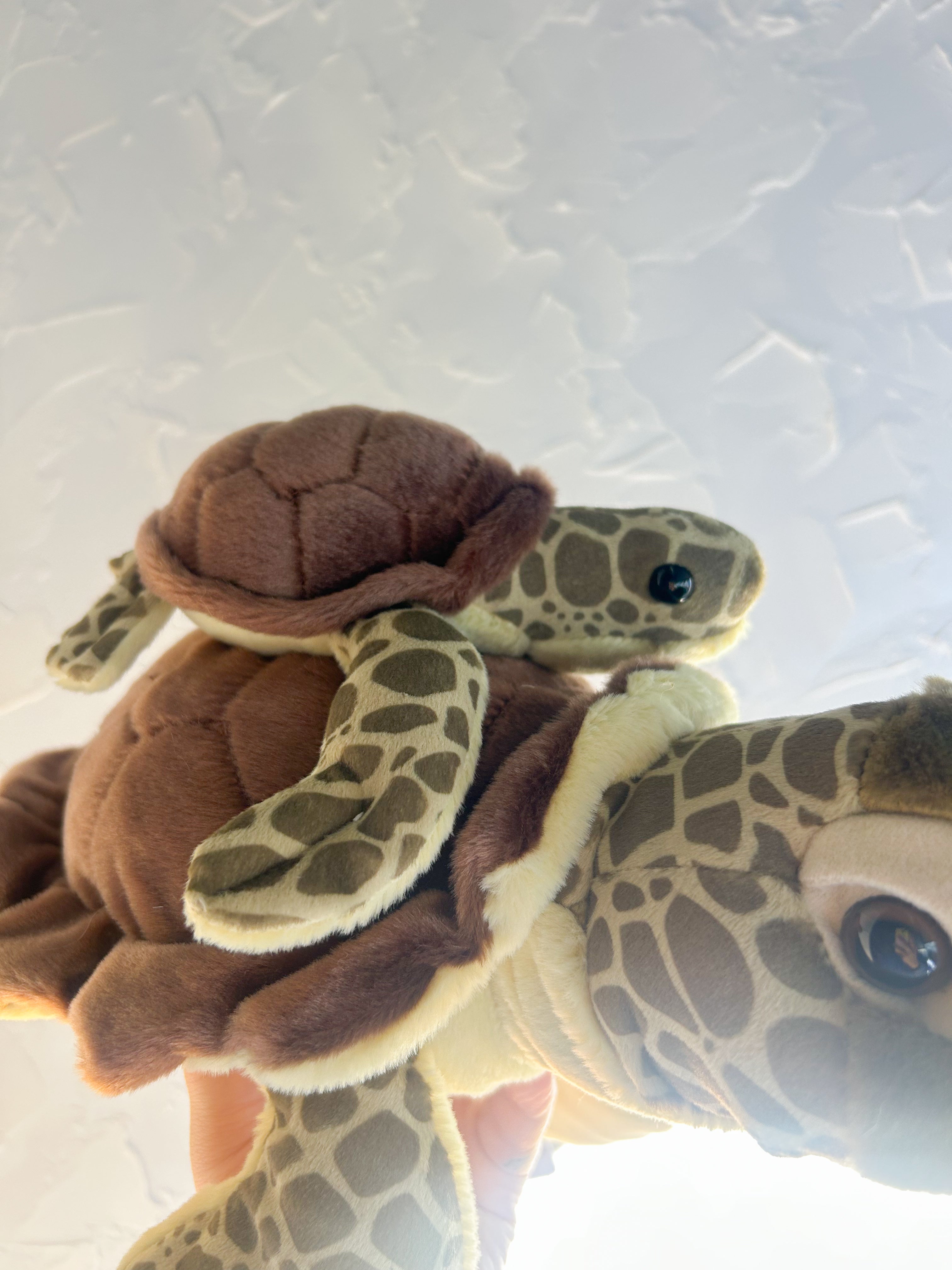 Green Sea Turtle Mum & Baby Detachable Plush Duo - Wild Republic