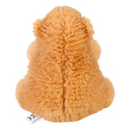 Mini Capybara Fidget Plush - Wild Republic
