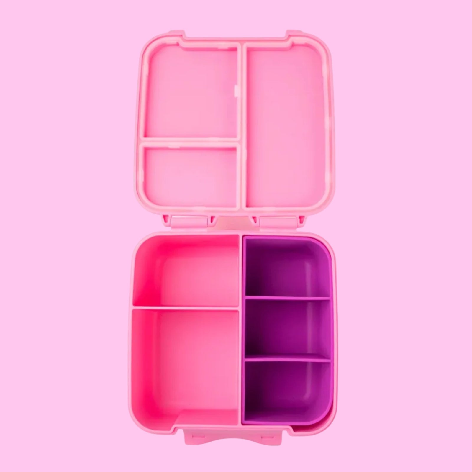 Fuchsia Bite Lunchbox Tray - Montiico