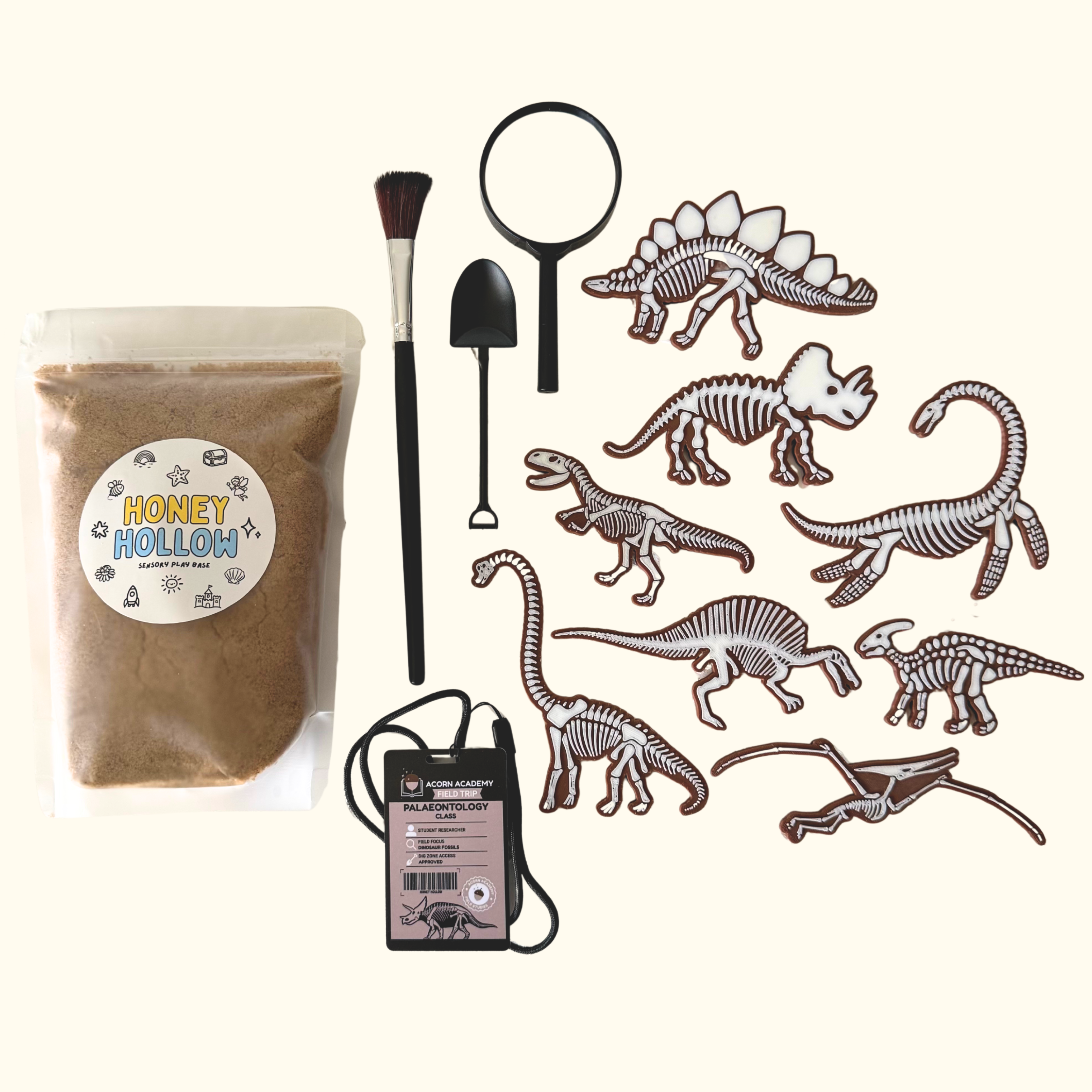 Palaeontology Fossil Dig Field Trip Set – Honey Hollow