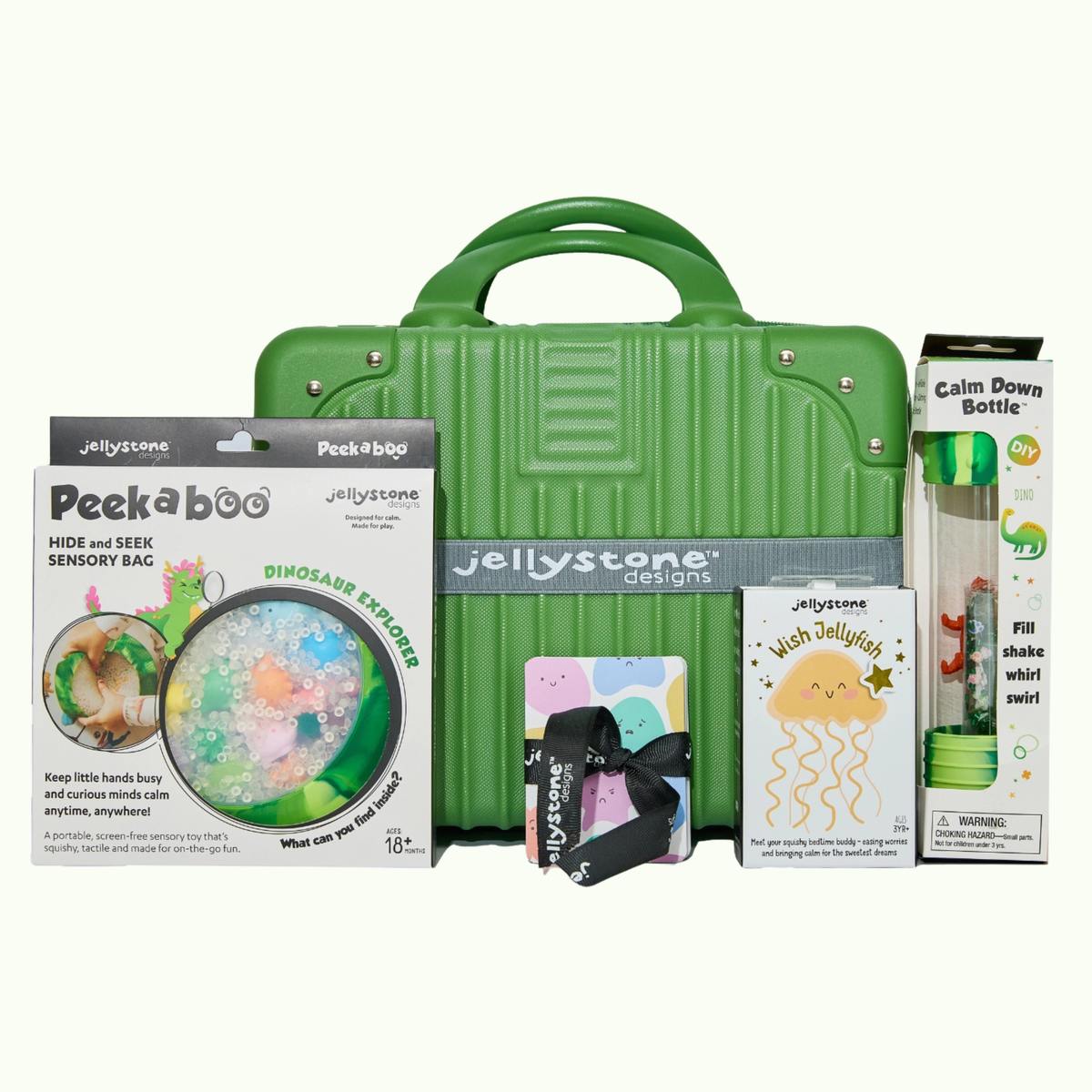 Dinosaur Big Feelings Play Kit - Jellystone Designs