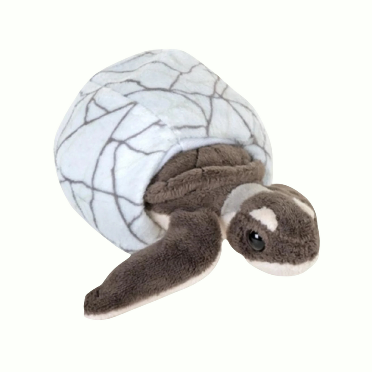 Green Sea Turtle Removable Hatchling & Sensory Egg - Wild Republic
