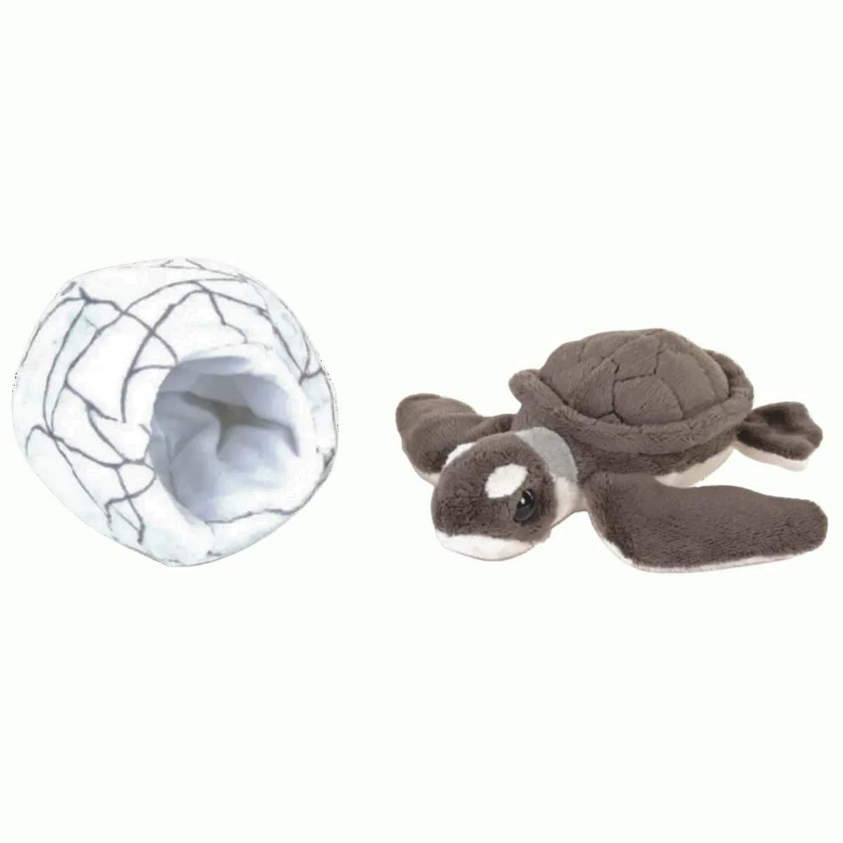 Green Sea Turtle Removable Hatchling & Sensory Egg - Wild Republic