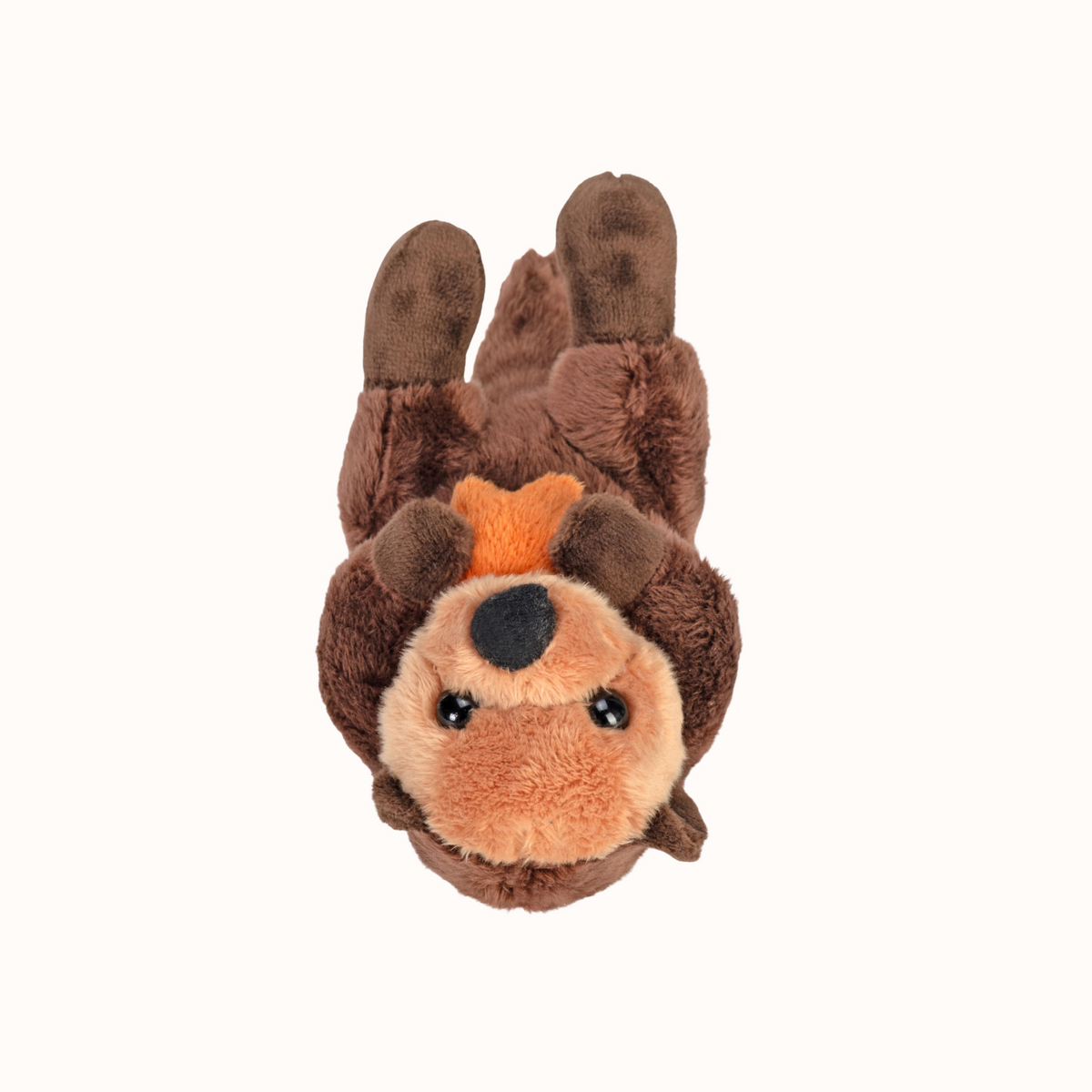 Sea Otter Pocketkin Plush Toy – Wild Republic