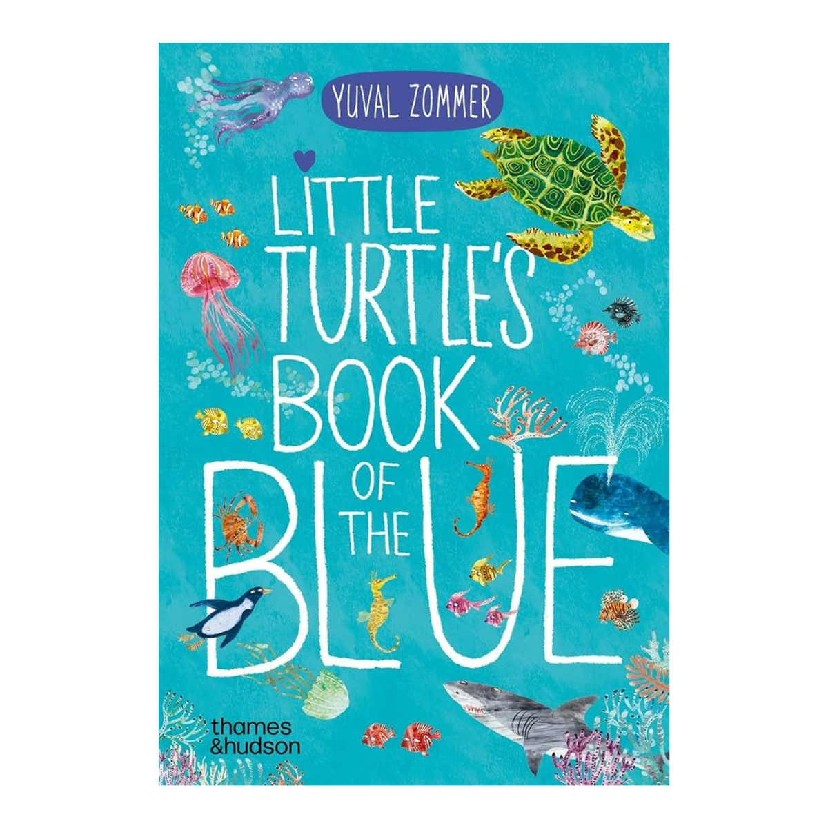 Little Turtle’s Book of the Blue - Yuval Zommer