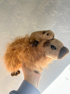 Capybara Mum & Baby Detachable Plush Duo - Wild Republic