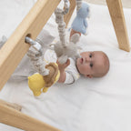 Zebra and lion pram toy set for sensory play