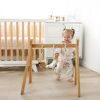 Galah & Emu Play Gym/Stroller Toys - Living Textiles