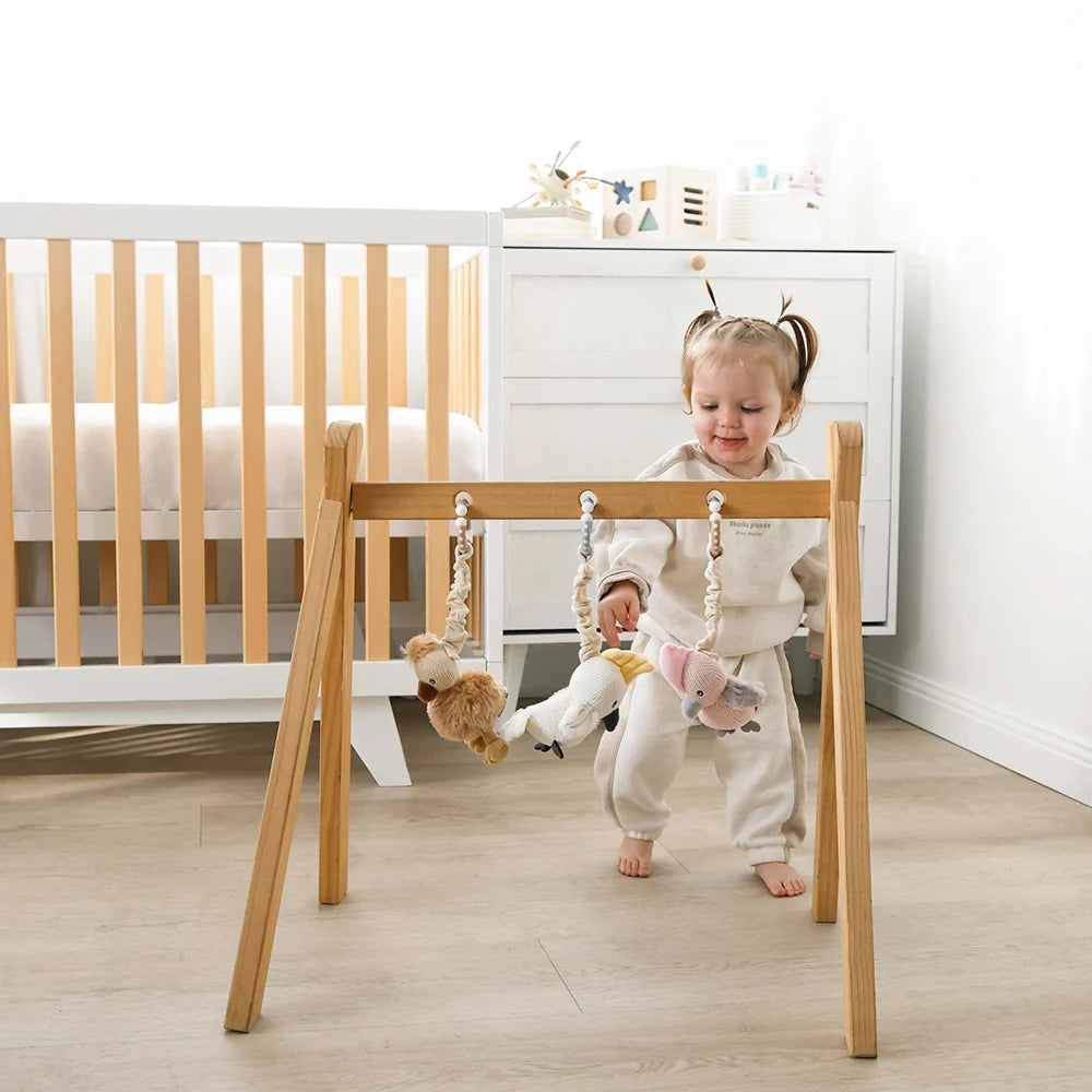 Galah & Emu Play Gym/Stroller Toys - Living Textiles