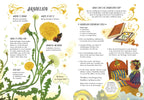 A Guide to Plants for Little Witchlings - Jennifer Lane