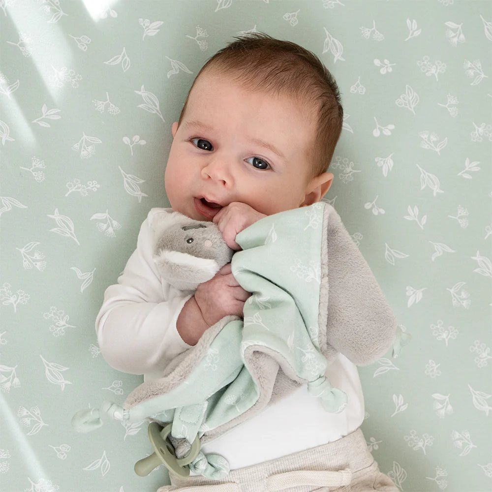 Koala Snuggle Comforter - Living Textiles