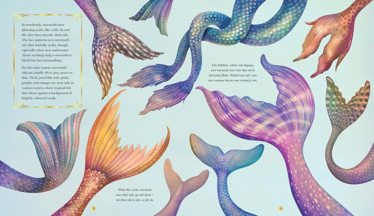 All About Magical Creatures - Izzy Quinn