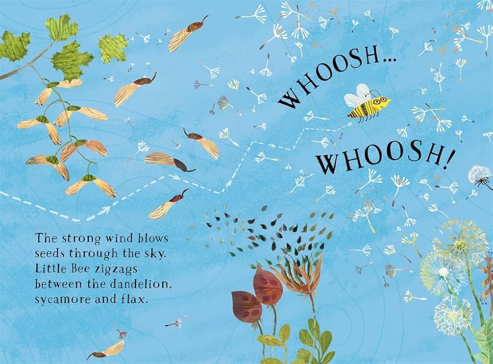 Little Bee's Book of Blooms - Yuval Zommer