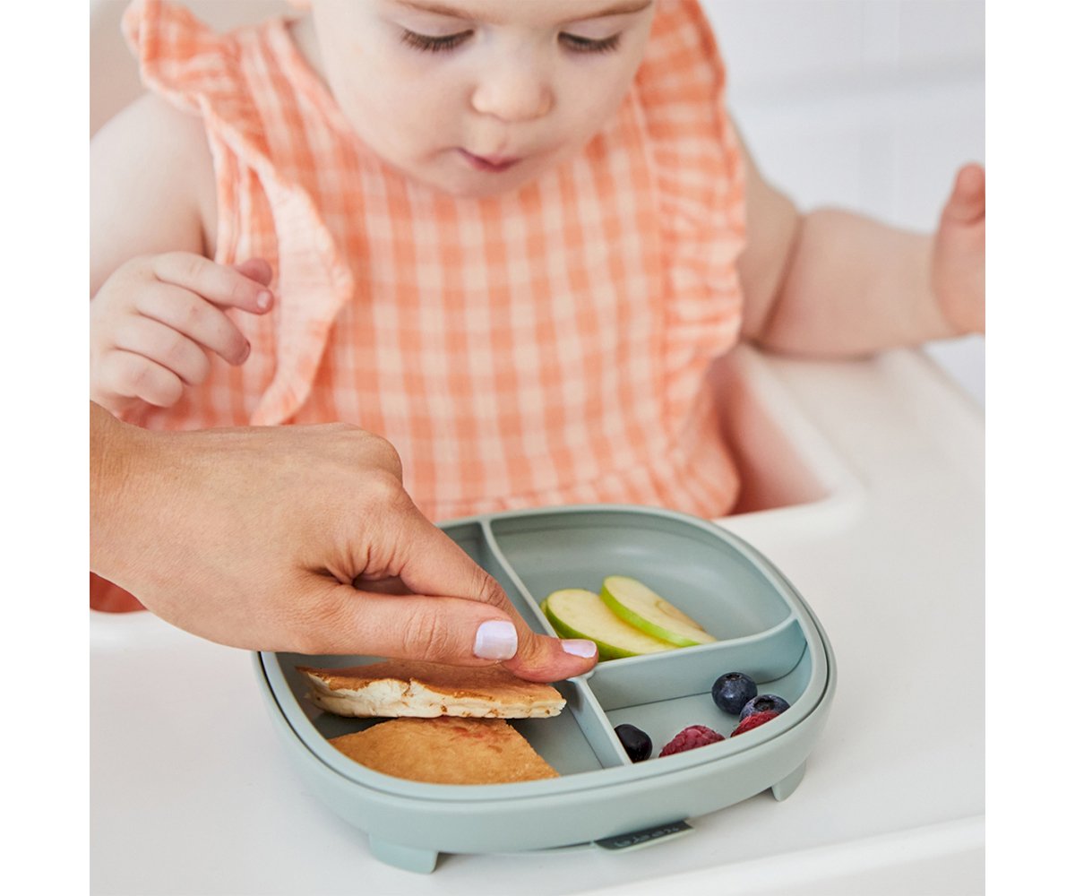 2 in 1 Suction Plate