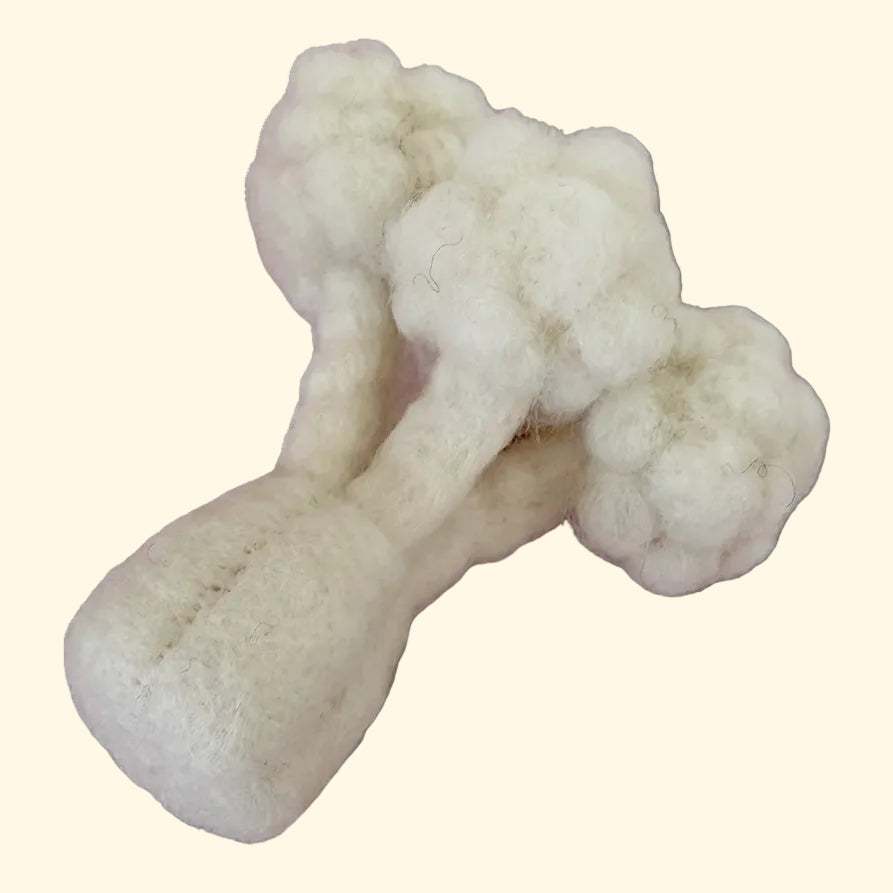 Cauliflower Felt Food - Playtisserie