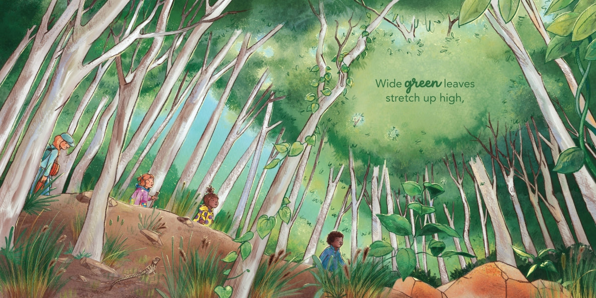 On a Bushwalk - Andrea Rowe