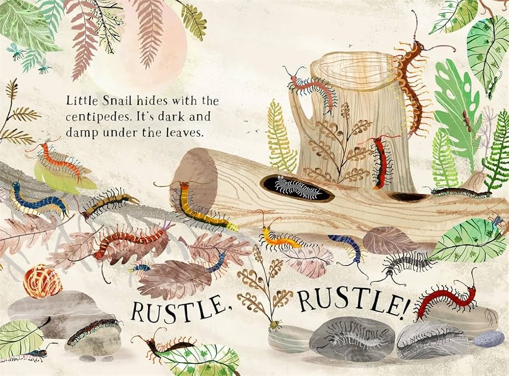 Little Snails Book of Bugs - Yuval Zommer