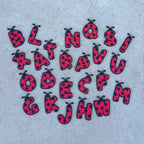 Little Ladybug Letter Sensory Play Coins - Honey Hollow