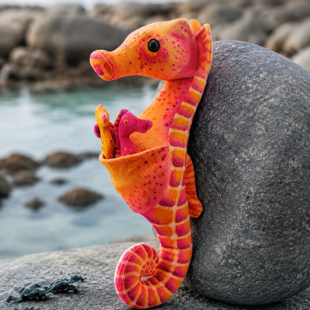 Seahorse Dad & Babies Detachable Plush - Wild Republic