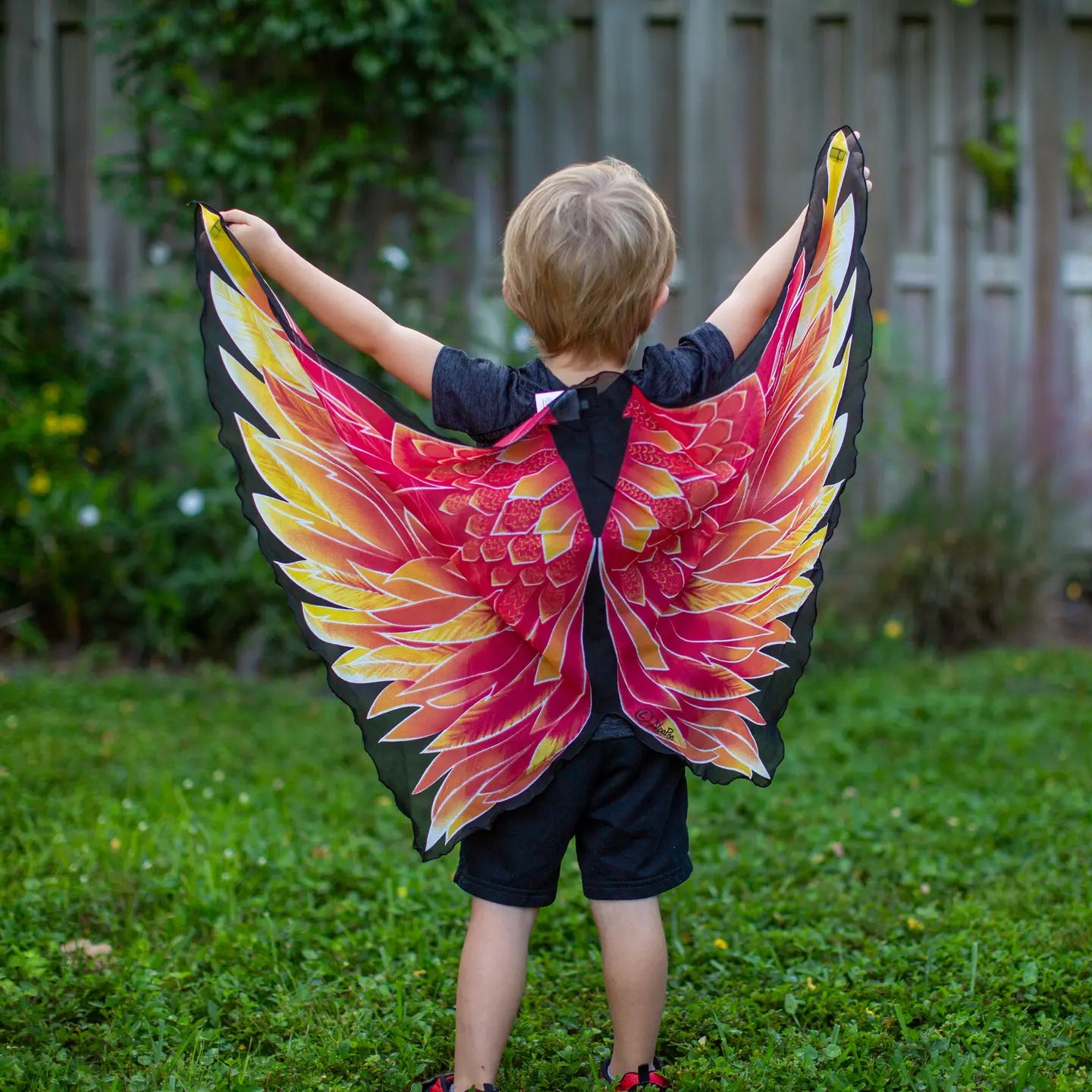 dreamy dress ups firebird wings australia
