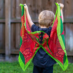 dragon dress up costume wings and mask set
