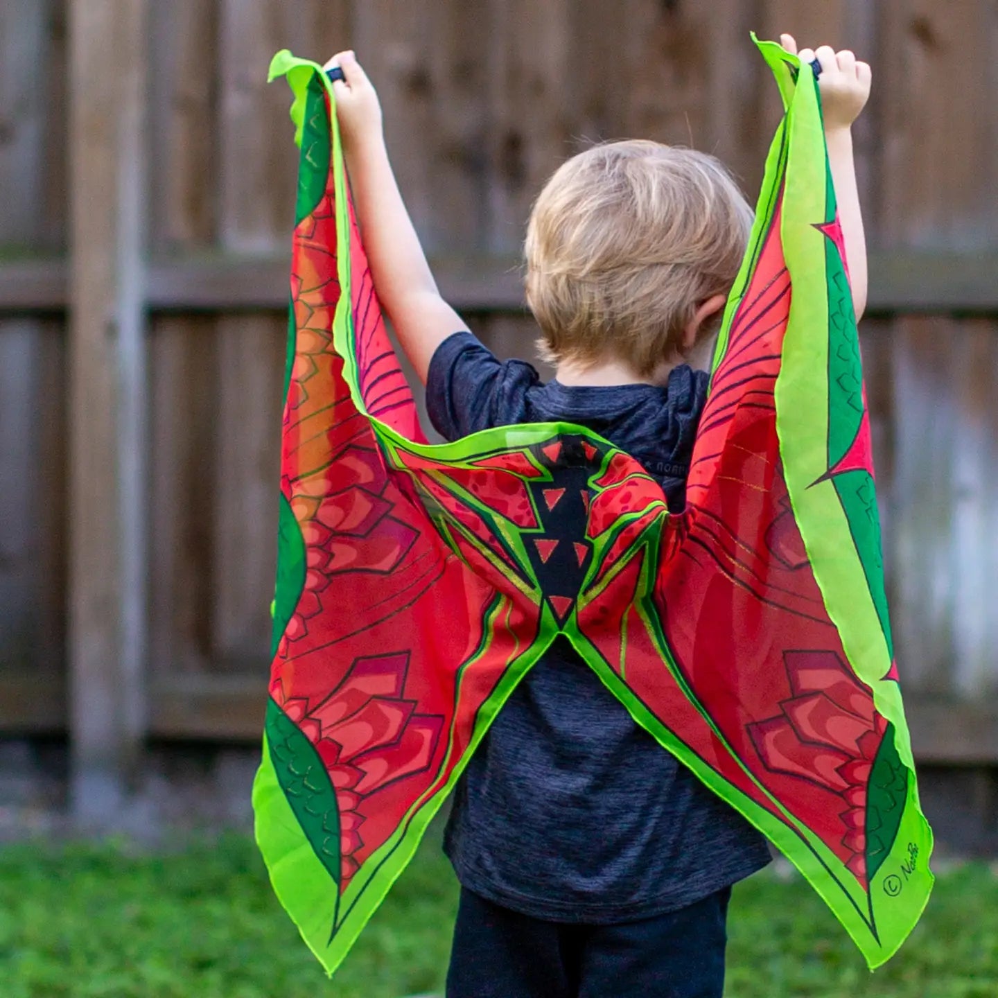 dragon dress up costume wings and mask set