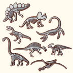 Dinosaur Fossil Discovery Set – Honey Hollow