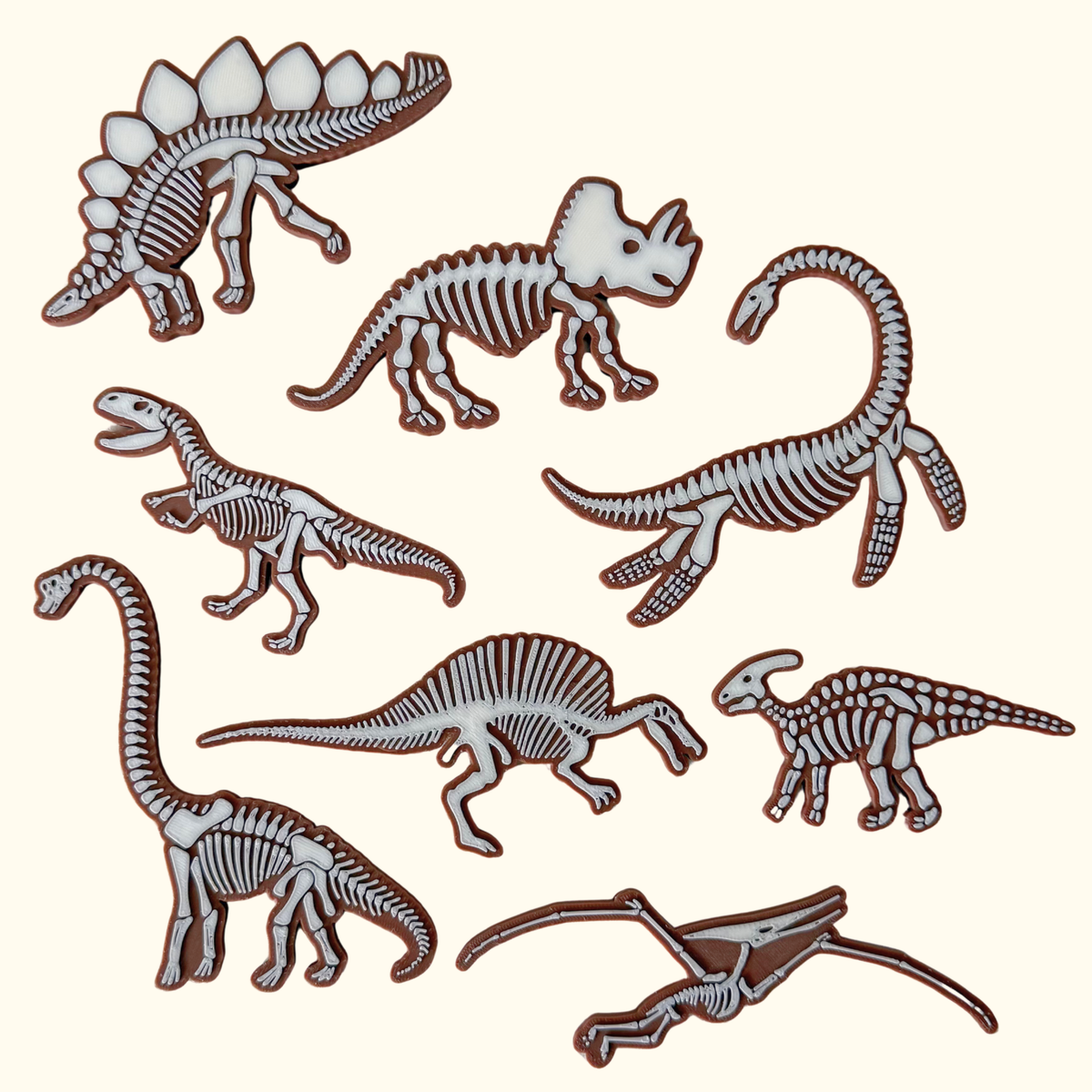 Dinosaur Fossil Discovery Set – Honey Hollow