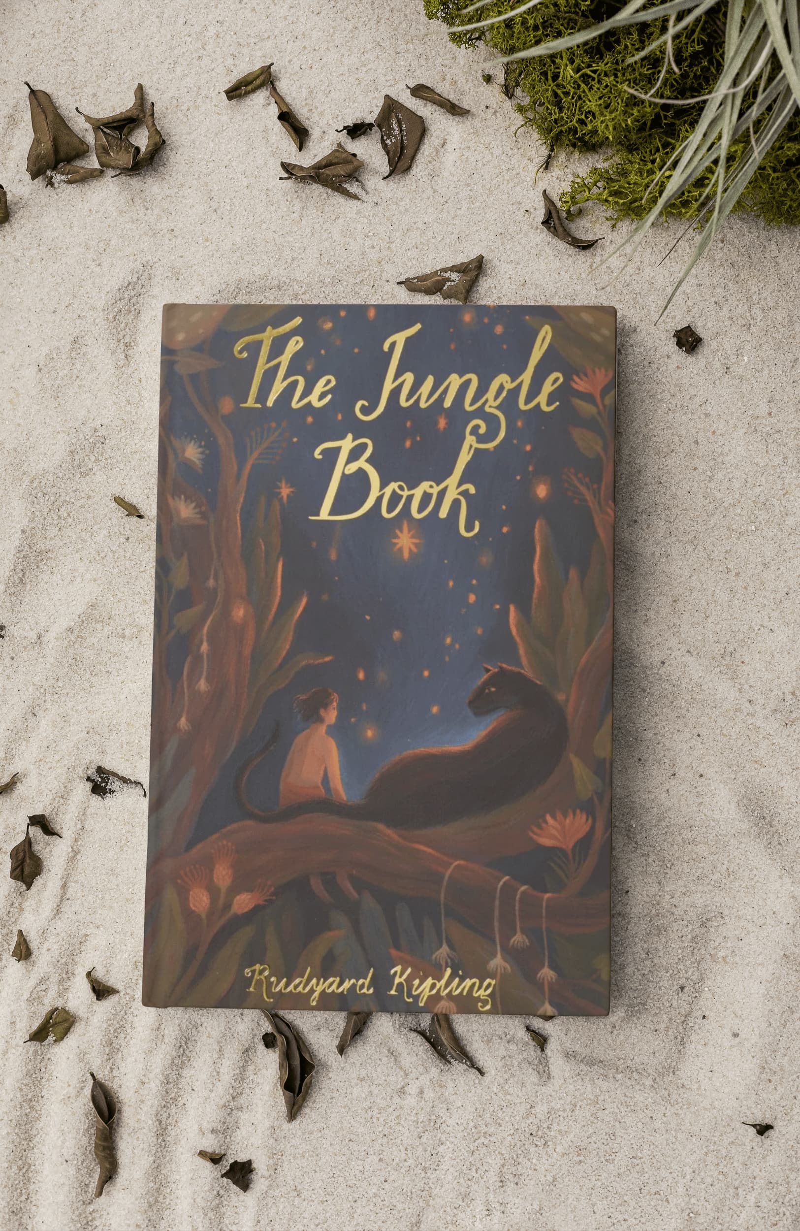 on the beach The Jungle Book children’s book by Rudyard Kipling with illustrated cover of Mowgli sitting with a black panther in a glowing jungle scene