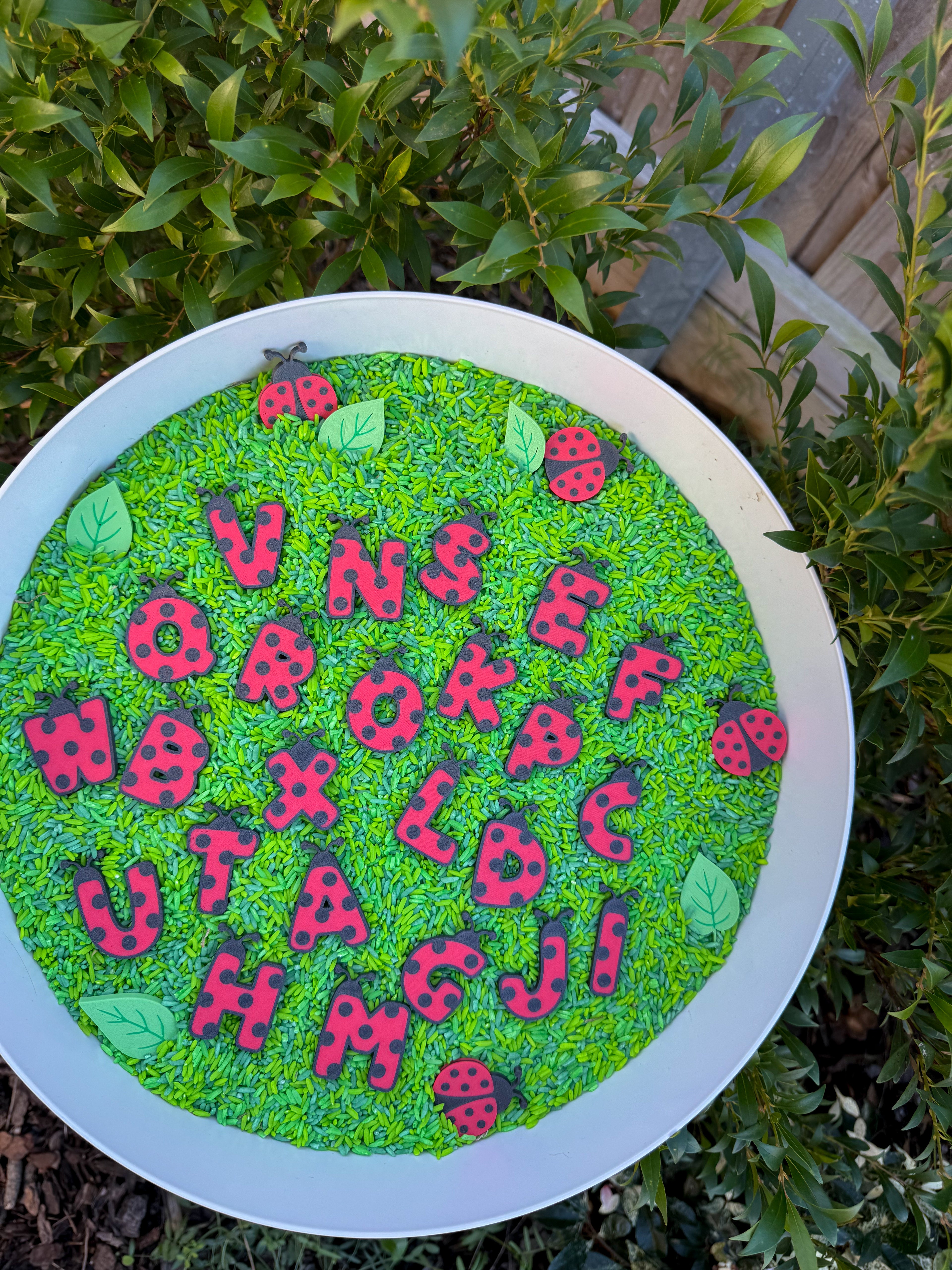 Little Ladybug Letter Sensory Play Coins - Honey Hollow