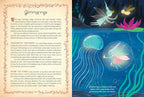 The Book of Fairies - Susie Spikol