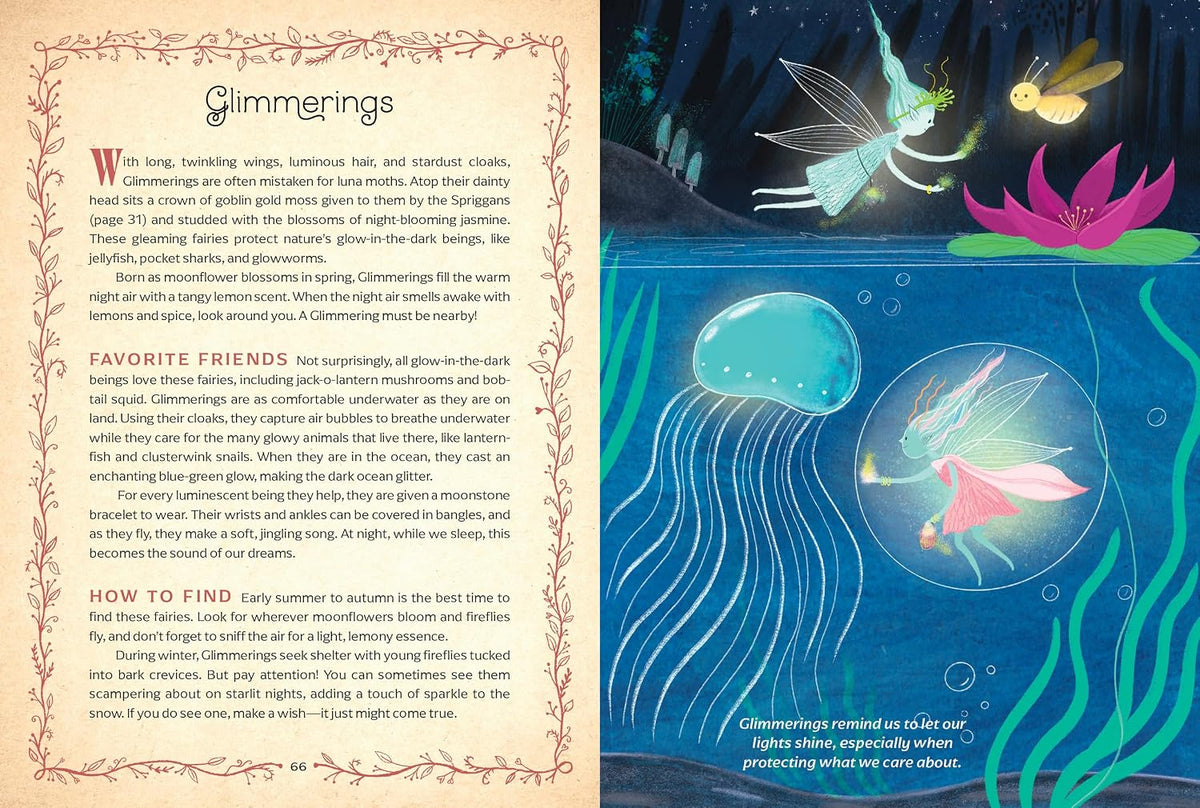 The Book of Fairies - Susie Spikol