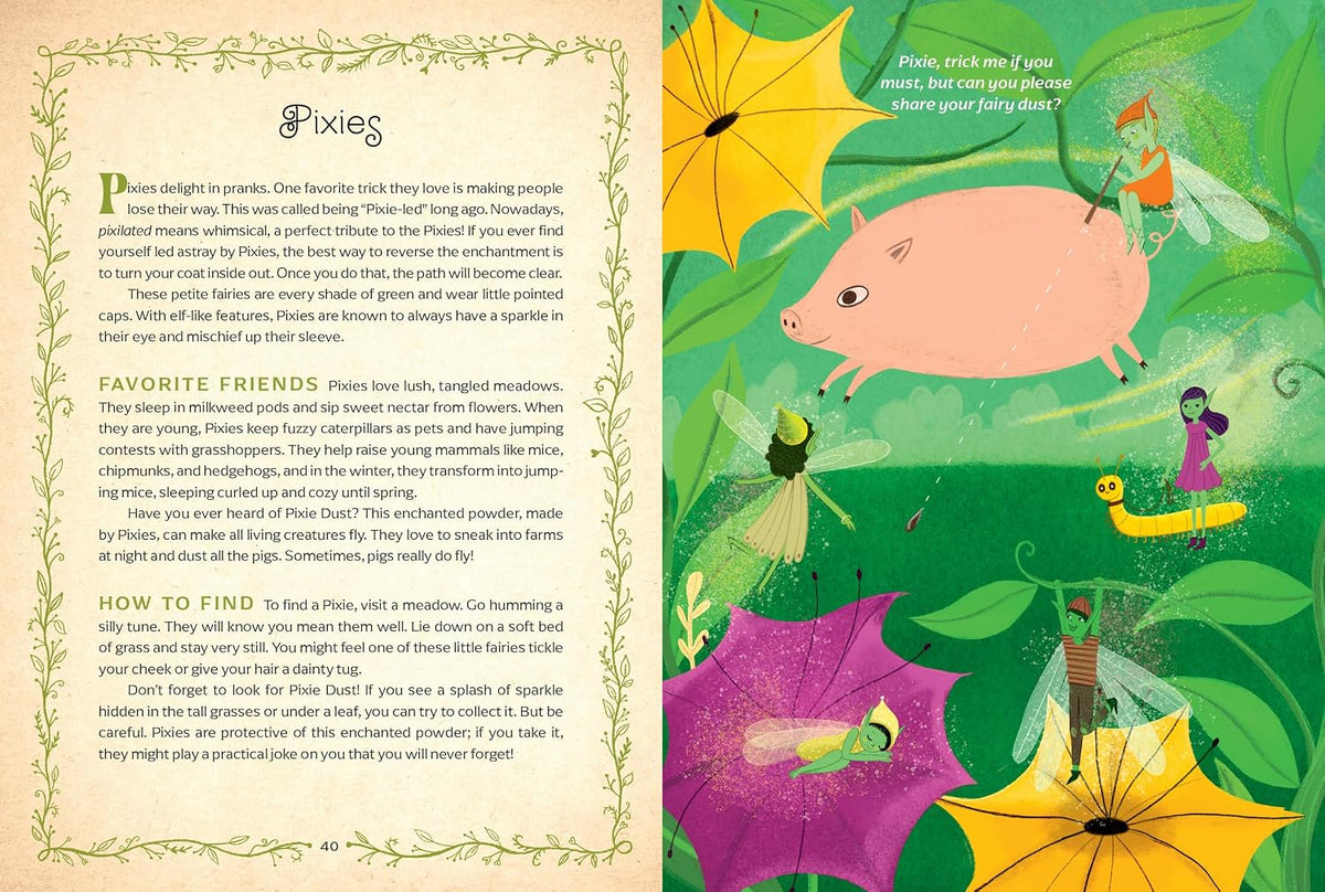 The Book of Fairies - Susie Spikol