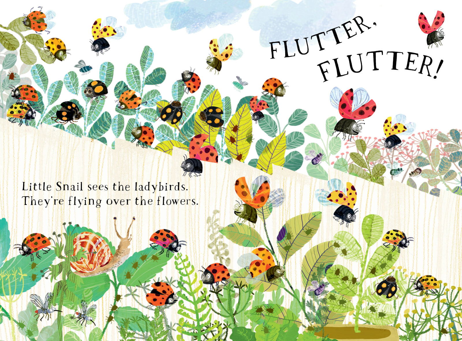 Little Snails Book of Bugs - Yuval Zommer