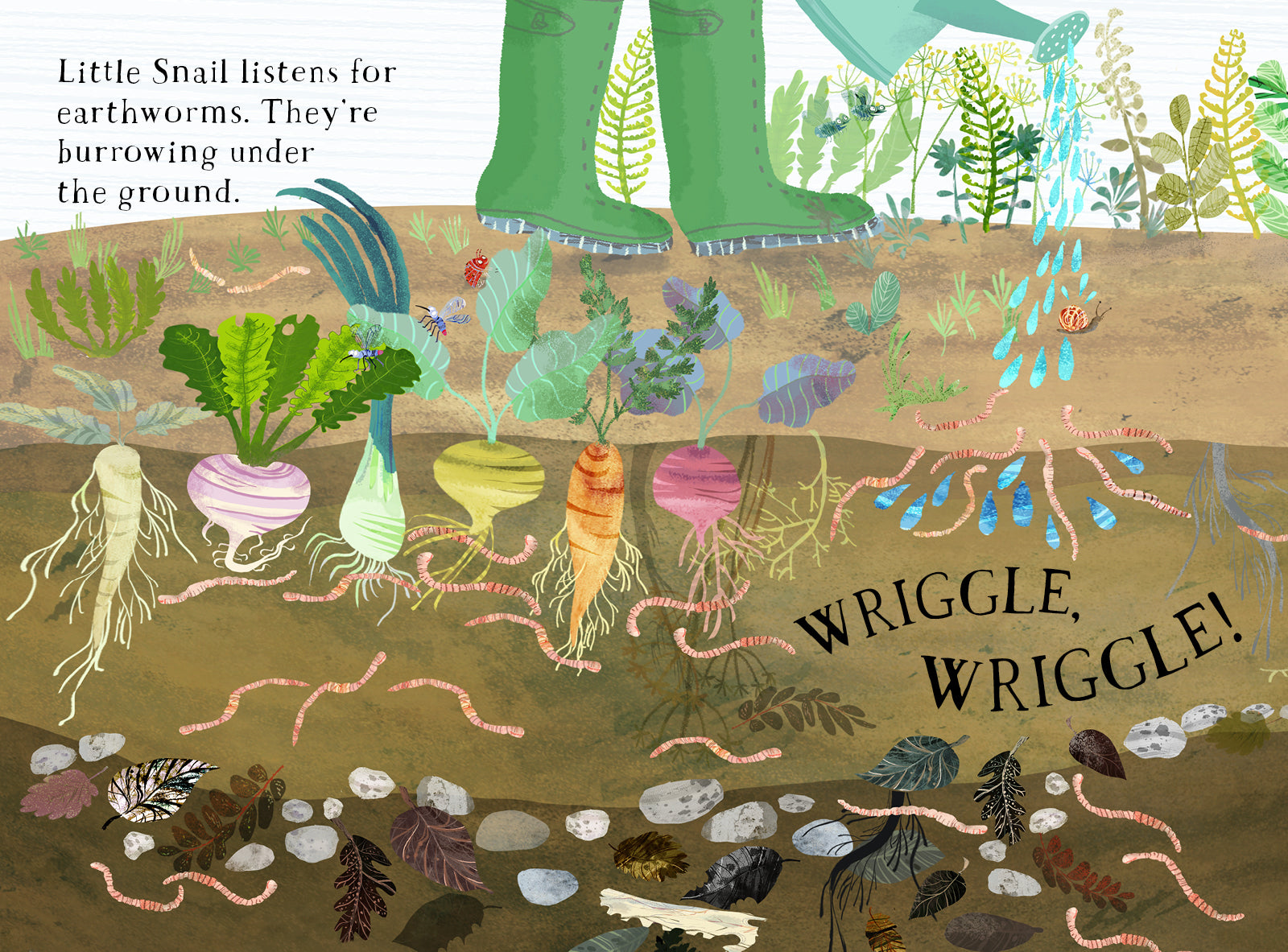 Little Snails Book of Bugs - Yuval Zommer