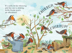 Little Robin's Book of Birds - Yuval Zommer